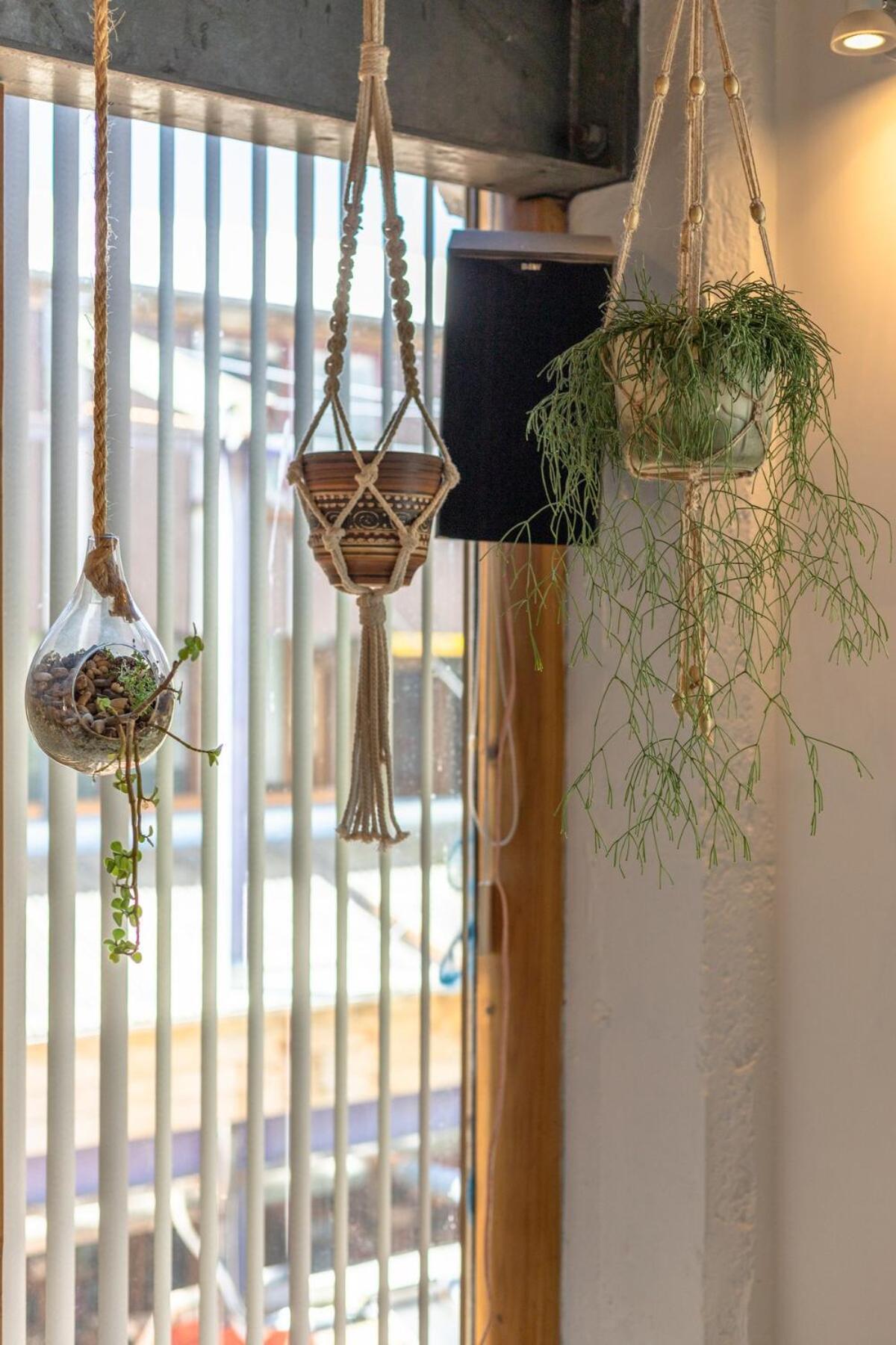 Cuba Mall Designer Apartment Wellington
