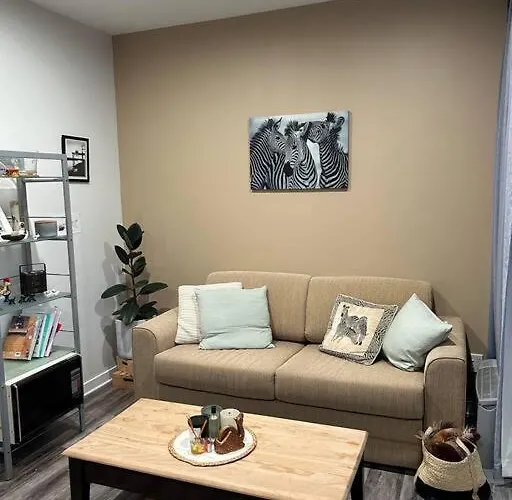 Sunny And Central Wellington Apartment