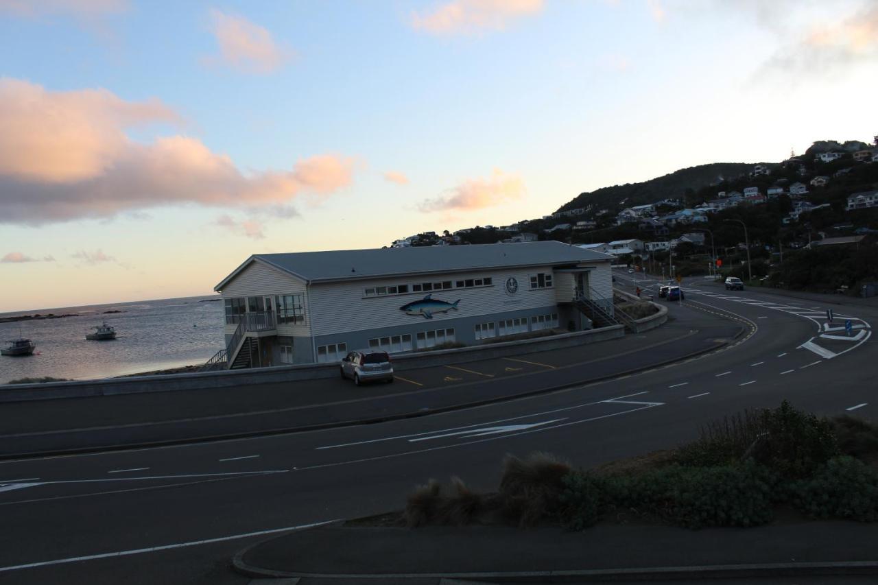 Modern & Cosy Studio Unit On Island Bay Beachfront Apartment Wellington
