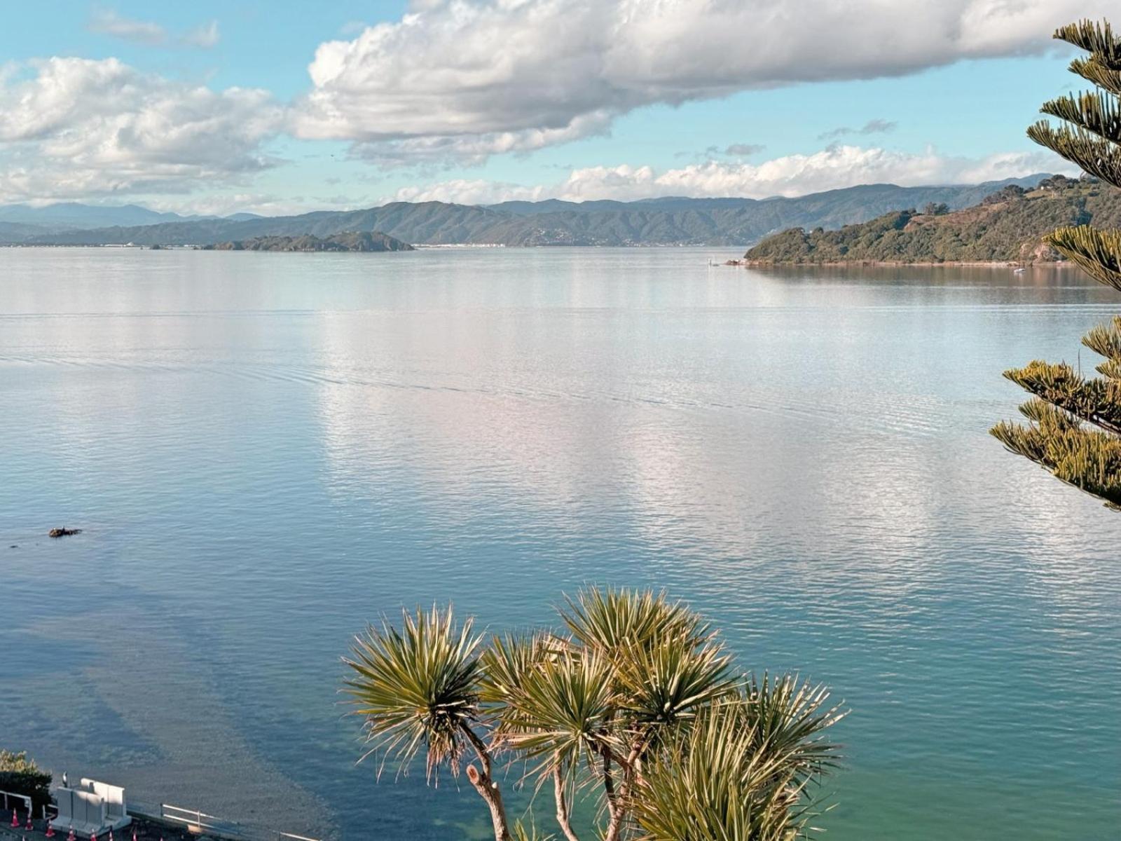 Roseneath Sea-view Haven * Wellington