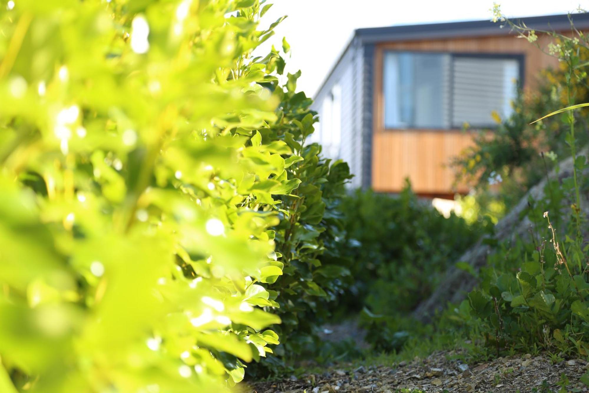 Skyline Vista - Entirely New House With Luxe Views, Espresso, Netflix & Free Parking *