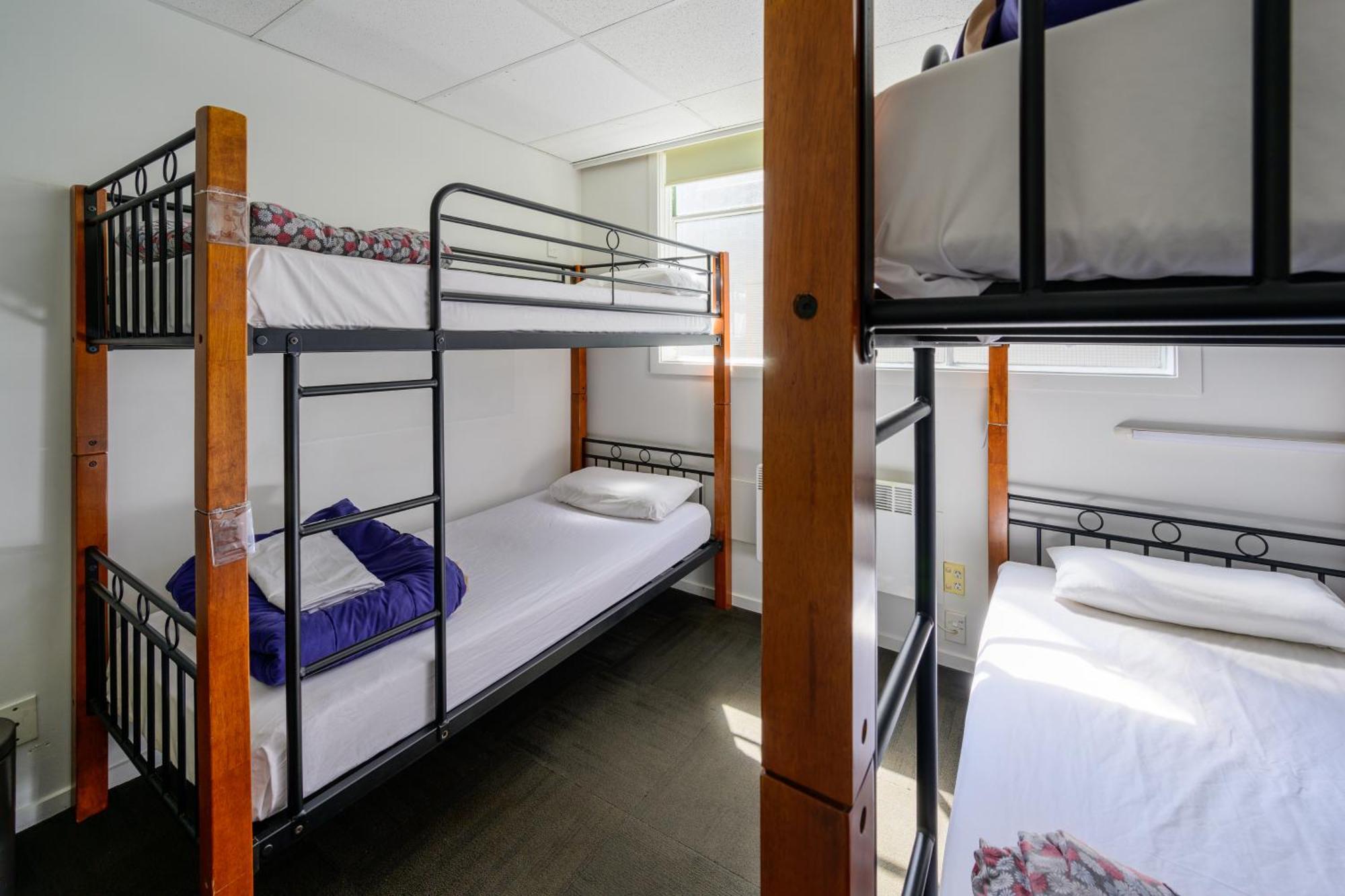 Trek Global Backpackers Albergue *