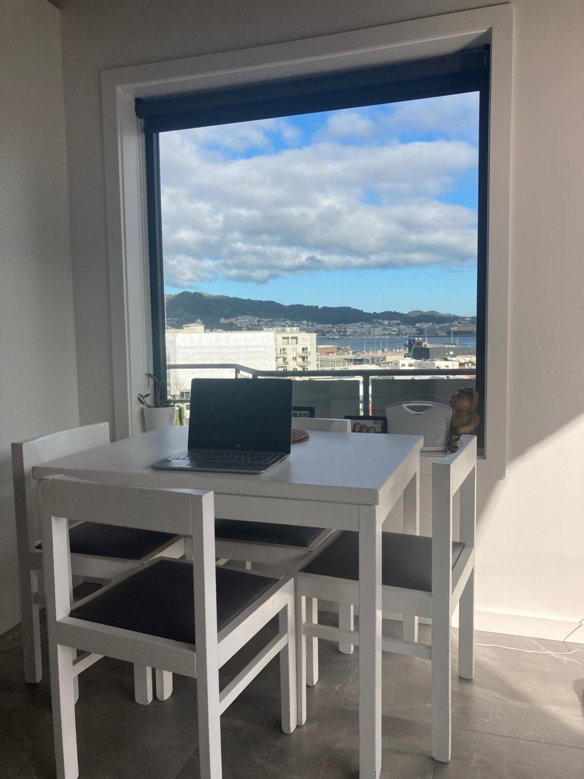 Close To City, Ferry With Great Views And Free Park Apartment Wellington