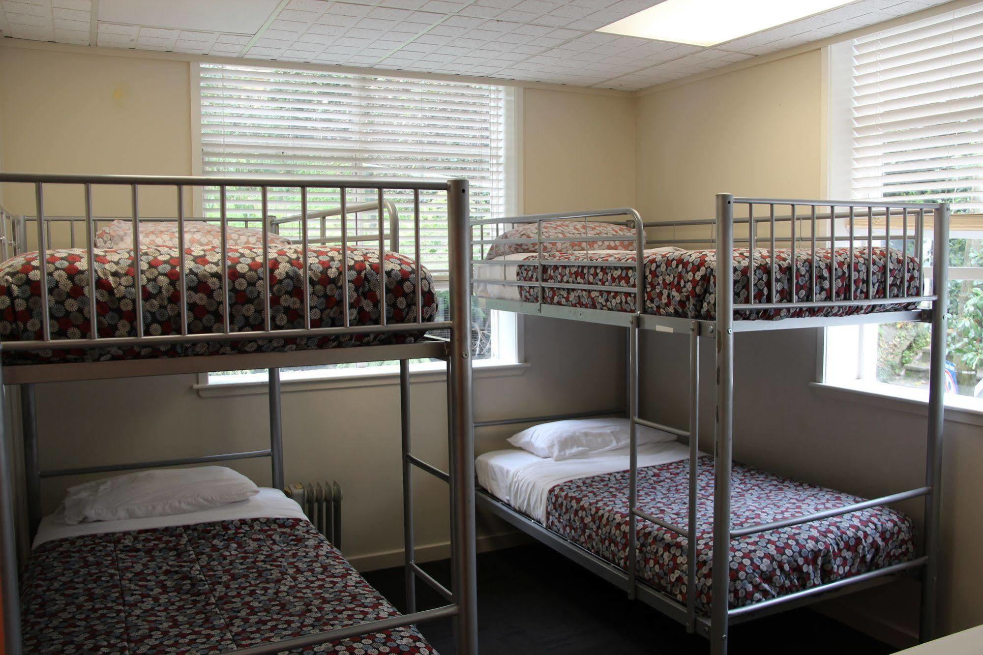 Trek Global Backpackers Albergue *