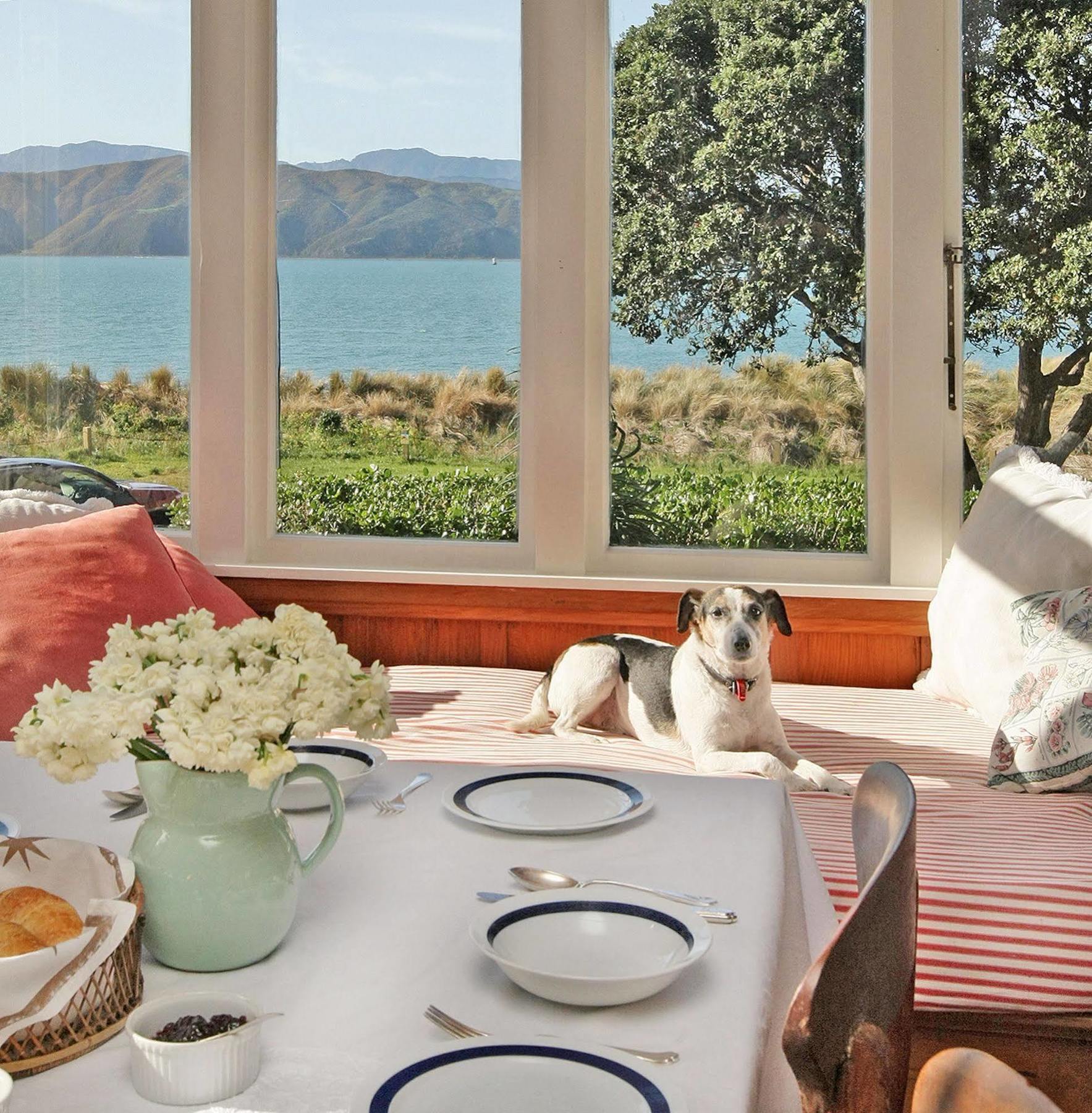 Acomodação com café da manhã  Beachfront Wellington