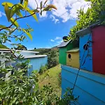 The Blue House And Garden