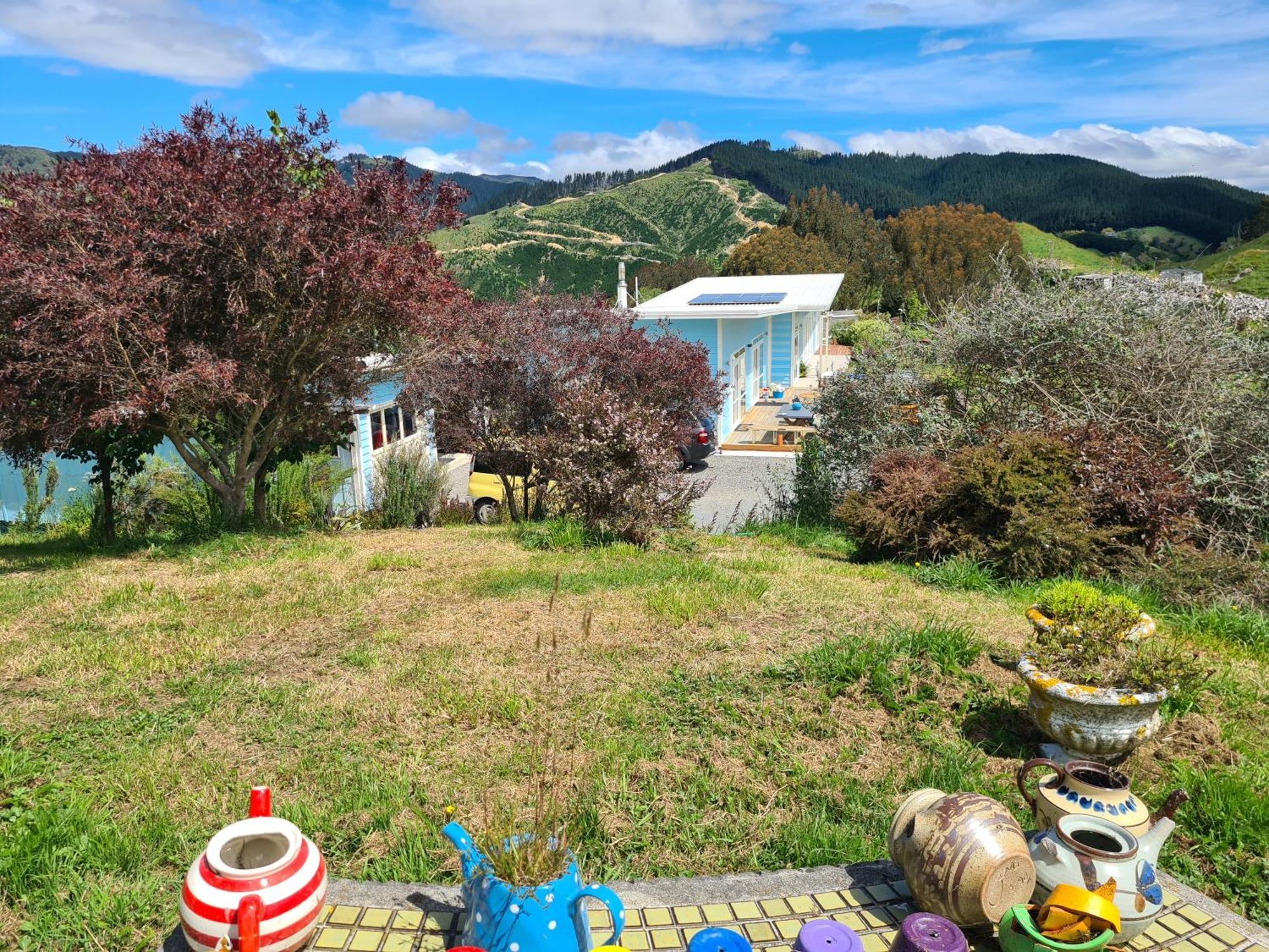 The Blue House And Garden *