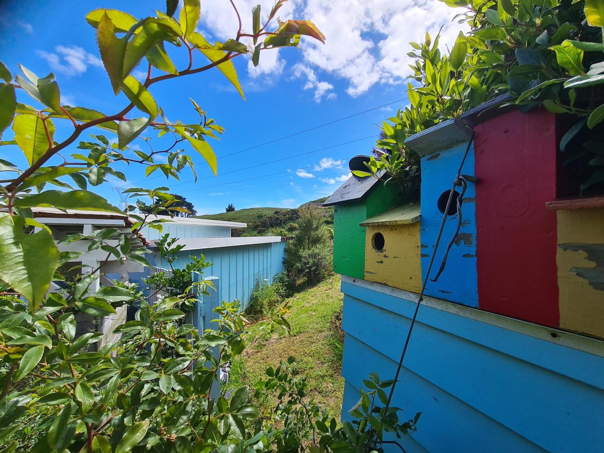 The Blue House And Garden Wellington
