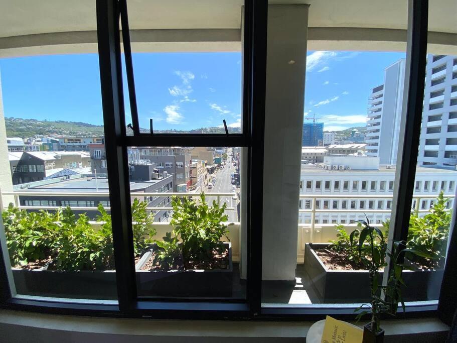 Cosy Penthouse Wellington