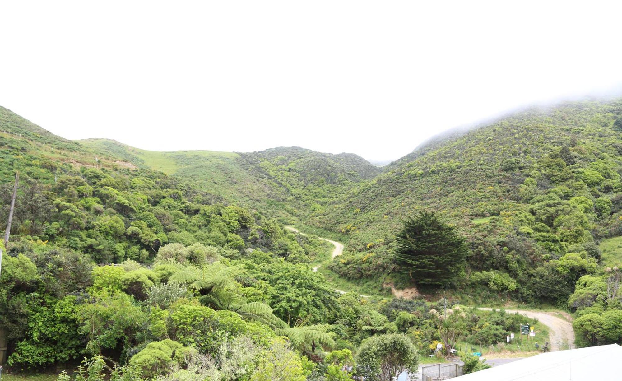 Skyline Haven - Entire - Free Parking, Espresso, Netflix - 15m To Cbd, Stadium, Ferry Apartamento Wellington