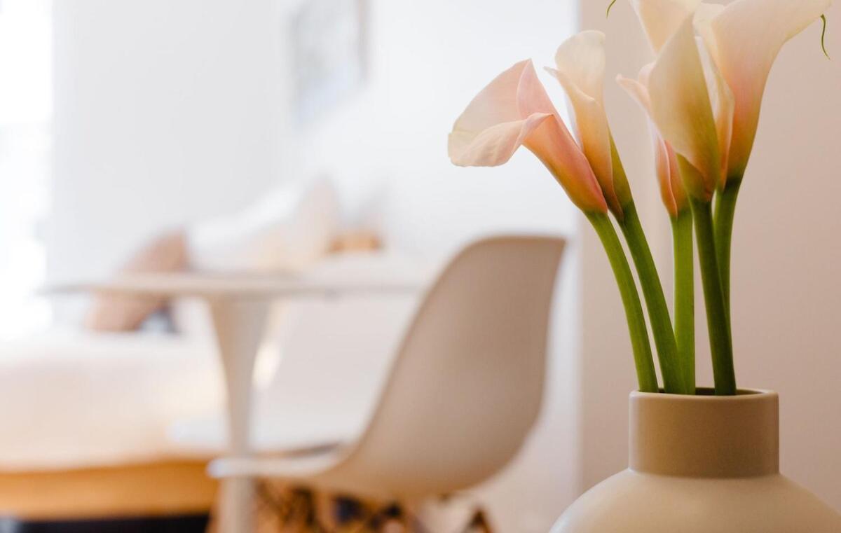 Stylish Hideaway, Quiet Inner-city Location Apartamento Wellington