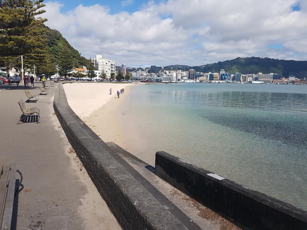 On Hay Street By The Sea Wellington